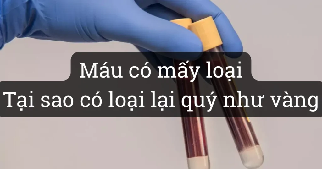 Nhóm máu của con người và vì sao có loại lại “quý như vàng”?