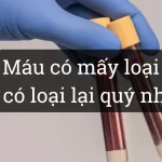 Nhóm máu của con người và vì sao có loại lại “quý như vàng”?