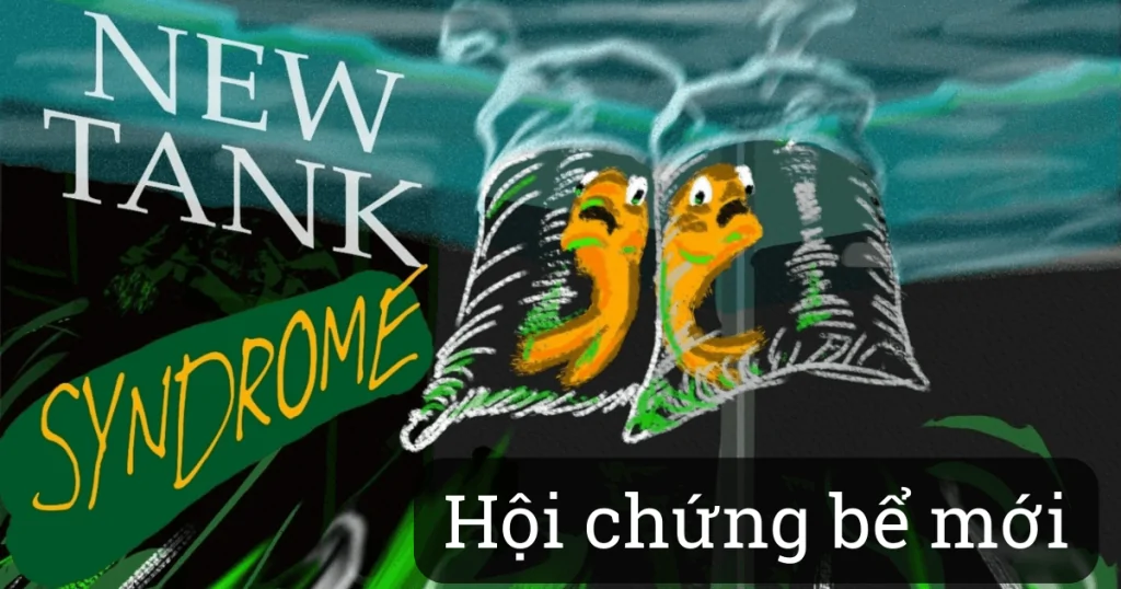 Hội Chứng Bể Mới là gì ?
