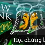 Hội Chứng Bể Mới là gì ?