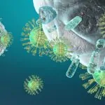 Top những dịch bệnh nguy hiểm nhất trong lịch sử nhân loại