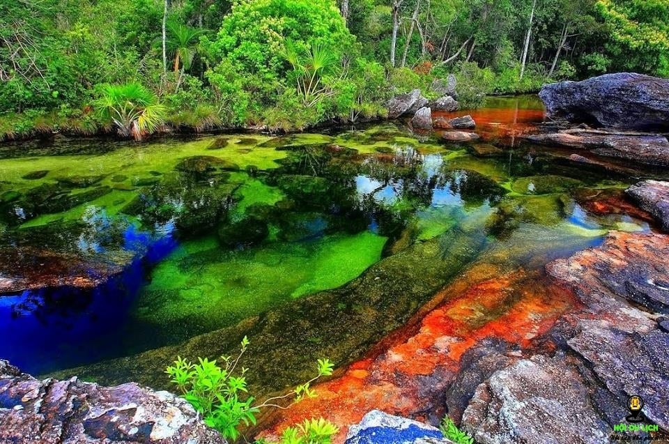 cano-cristales-colombia