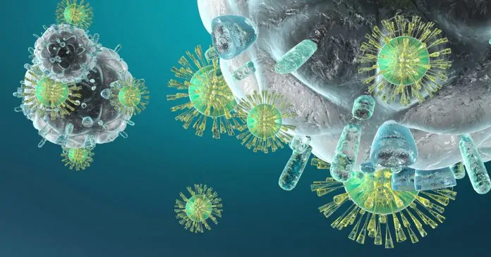 Virus