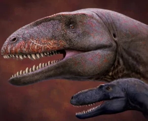 Có bao nhiêu loài khủng long trên trái đất?