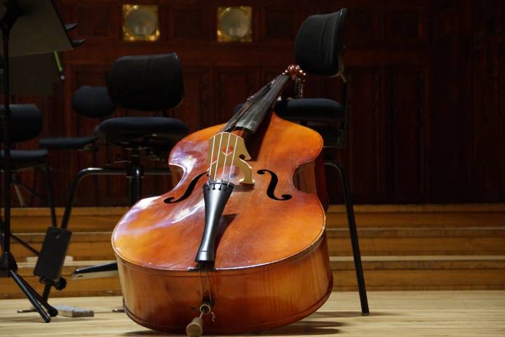double-bass