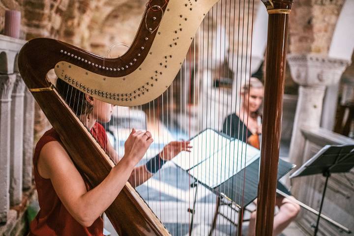 harp
