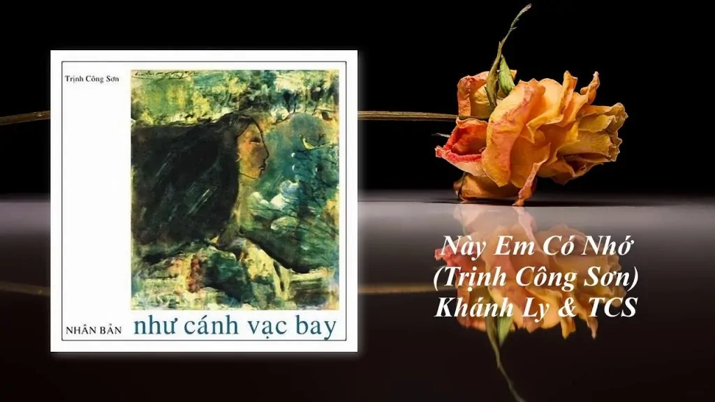 nay-em-co-nho-1024x576-1