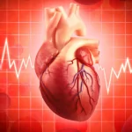 Vì sao nhịp tim đập lúc chậm lúc nhanh?