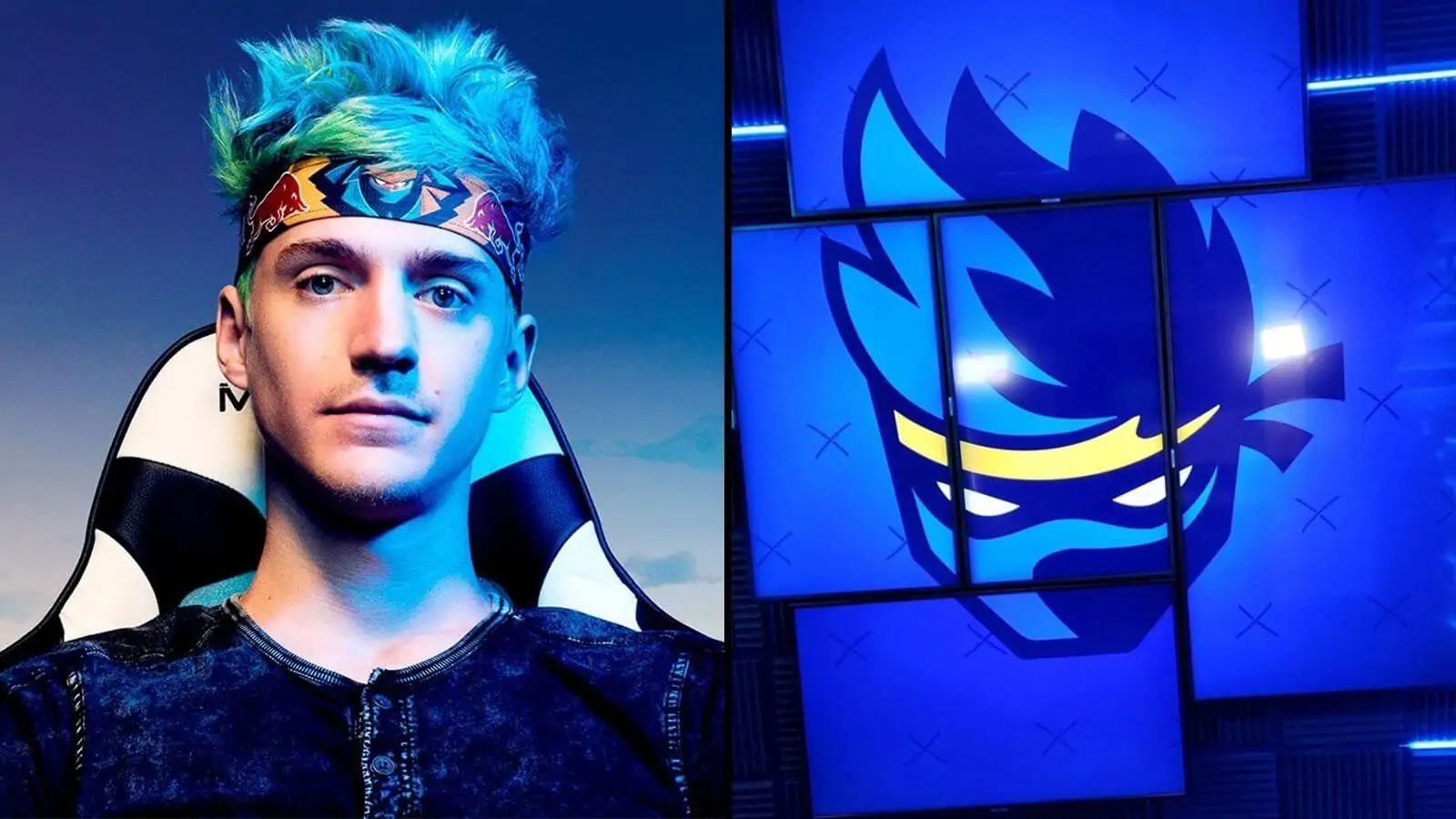 ninja Ninja (Tyler Blevins)