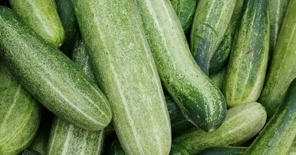 Trồng Rau Sạch Ban Công: Biến Không Gian Nhỏ Thành Vườn Xanh Mướt