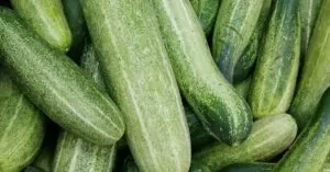 Trồng Rau Sạch Ban Công: Biến Không Gian Nhỏ Thành Vườn Xanh Mướt