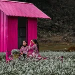 Trải nghiệm du lịch Mộc Châu tự túc