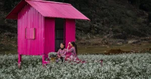 Trải nghiệm du lịch Mộc Châu tự túc