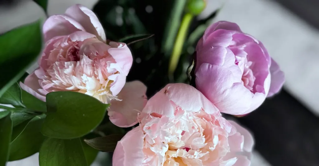 Bí quyết giữ hoa cắm tươi lâu trong nhà