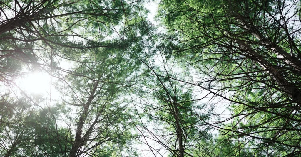 Năng lượng mặt trời trong đời sống