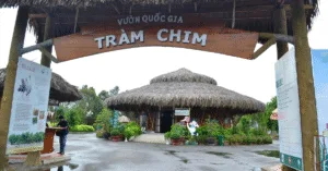Vườn quốc gia Tràm Chim – Điểm đến thiên nhiên