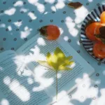 Đọc sách – Thói quen vàng của người thành công