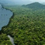 Amazon – Lá phổi xanh của Trái đất