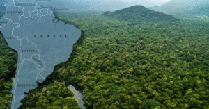 Amazon – Lá phổi xanh của Trái đất