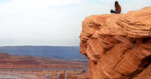 Thiền định và tác động đến cơ thể