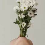 Xu hướng làm đẹp tự nhiên ngày nay từ thực vật