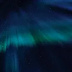 Giảm cân an toàn và bền vững theo khoa học