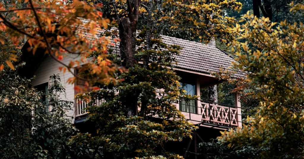 Nghệ thuật thư giãn trong cuộc sống