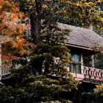 Nghệ thuật thư giãn trong cuộc sống