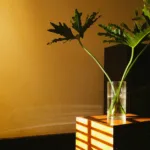 Thiết kế nội thất theo phong cách tối giản