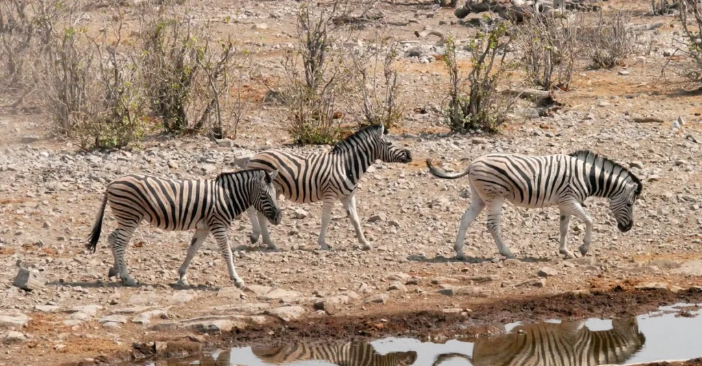 Du lịch xanh và trách nhiệm cộng đồng hiện đại