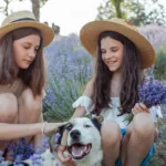 Chăm sóc thú cưng từng mùa trong năm