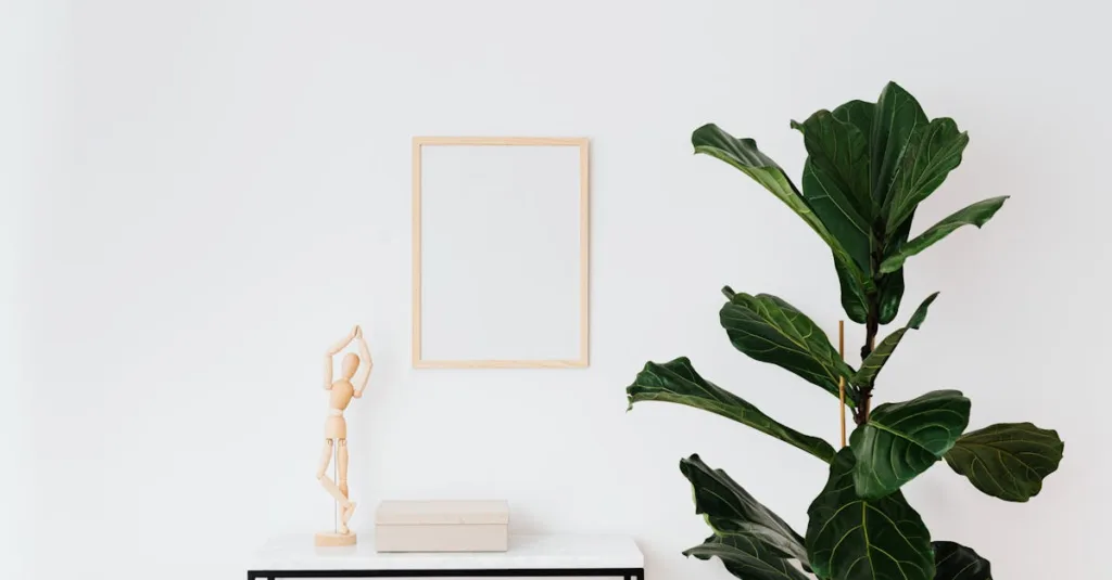 Bí quyết chăm sóc cây cảnh luôn xanh tốt trong nhà