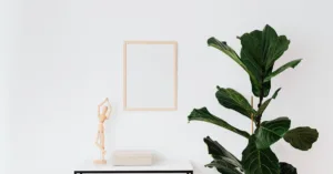 Bí quyết chăm sóc cây cảnh luôn xanh tốt trong nhà