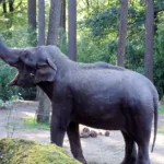 Podcast thay đổi phương pháp giáo dục thế nào?