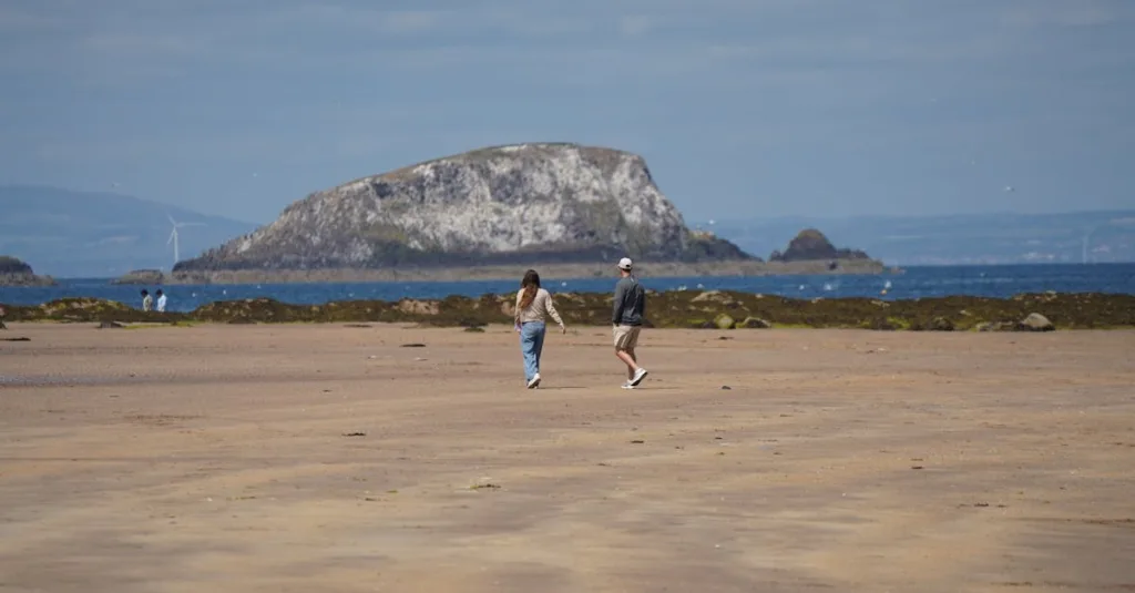 Kỹ thuật Pomodoro: Bí quyết quản lý thời gian
