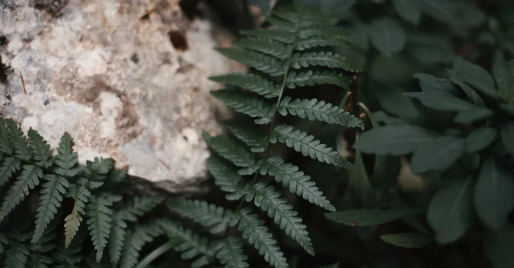 Bảo vệ môi trường bắt đầu từ những việc nhỏ