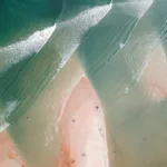 Năng lượng xanh: Chuyển đổi cho tương lai