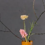 Mindfulness: Bí quyết hiệu suất công việc