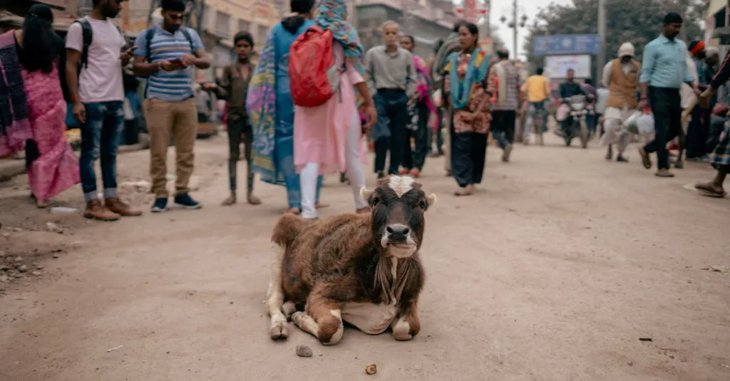Nhiếp ảnh đường phố: Kể chuyện bằng hình ảnh