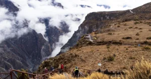 Workation: Vừa làm việc vừa du lịch có thực tế không?