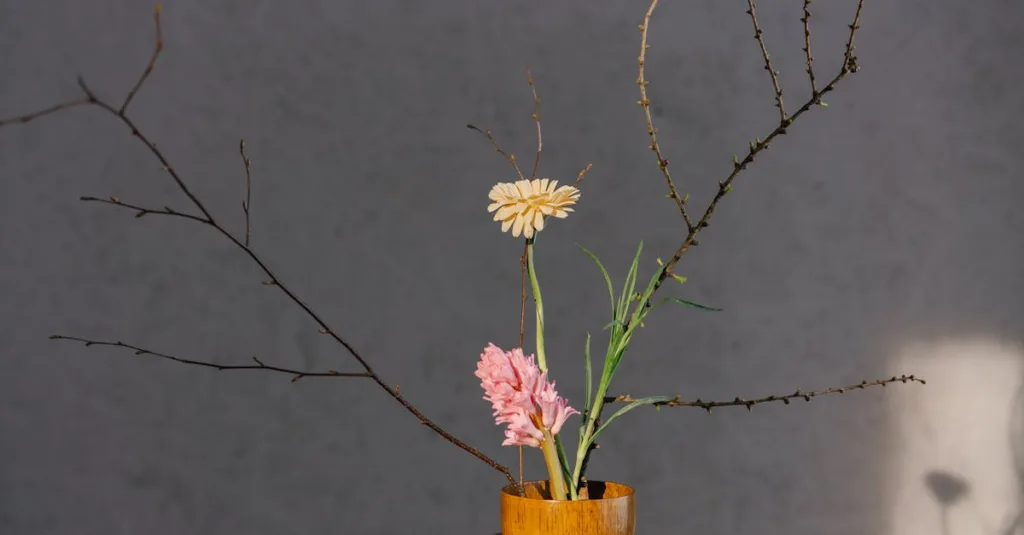 Tha thứ: Chìa khóa của bình yên tâm thần