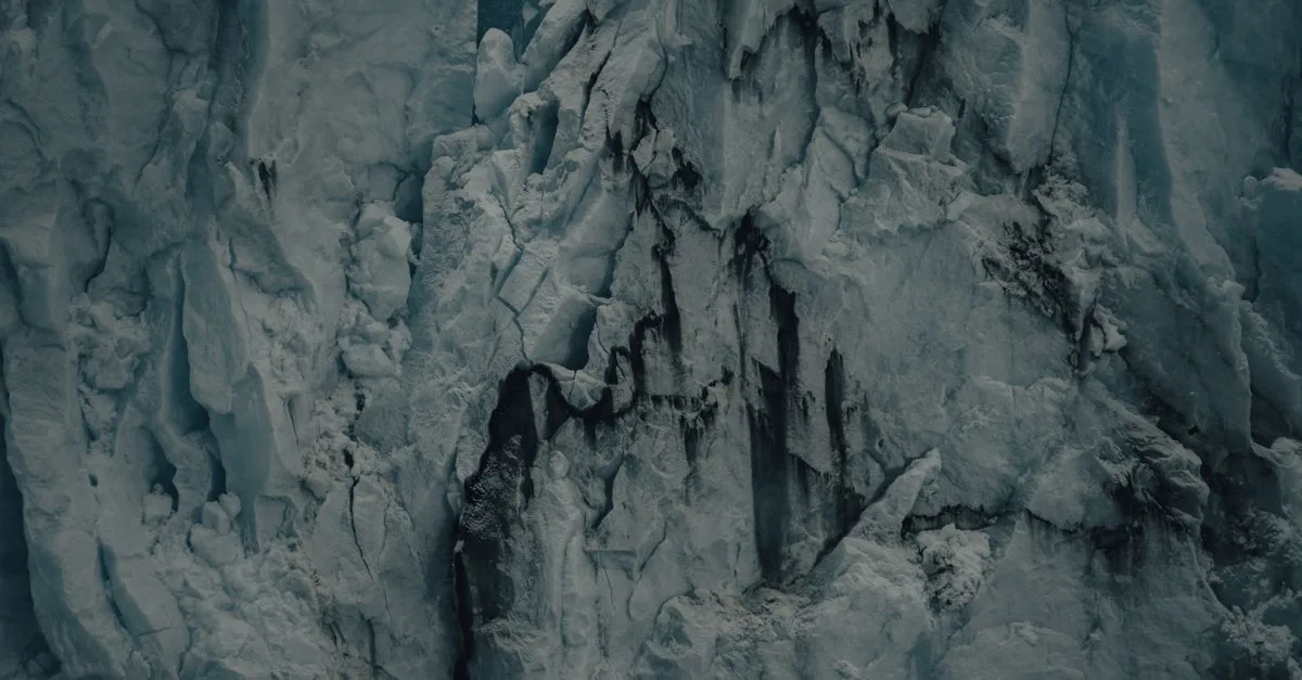 image 8171