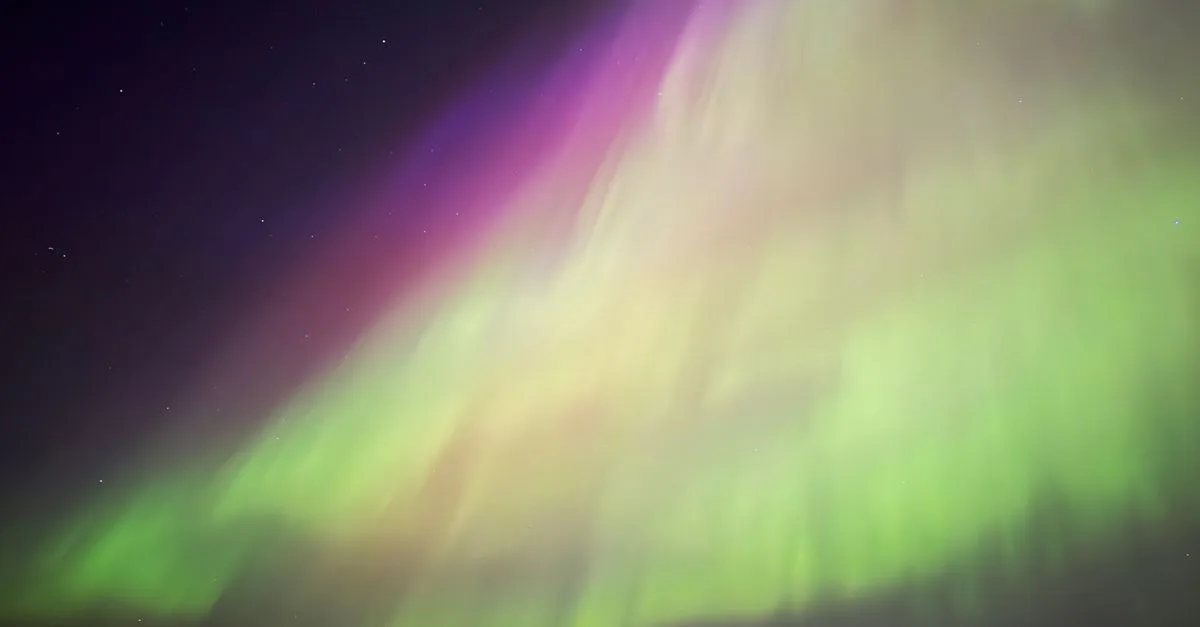 image 7940