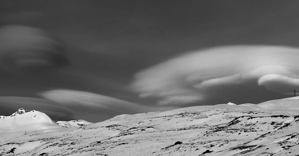 image 8250