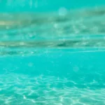 Vì sao dưới đáy đại dương lại có những dòng sông?