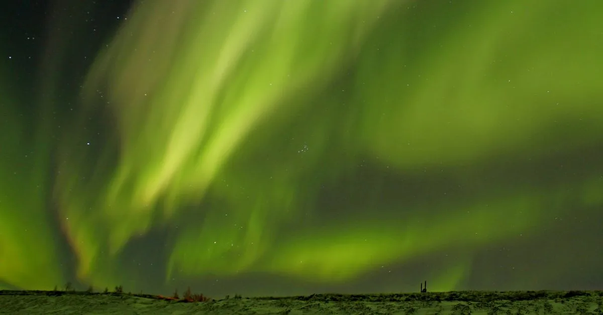 image 7941