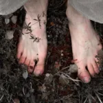 Vũ trụ vi sinh vật trong cơ thể con người