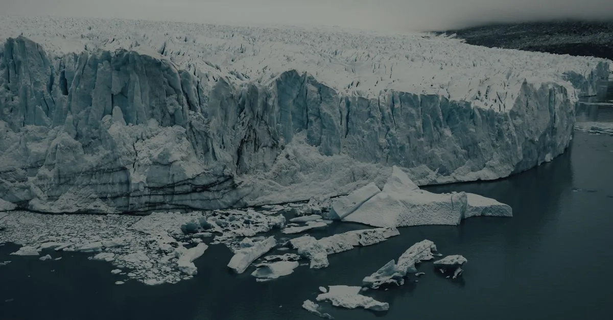 image 8347