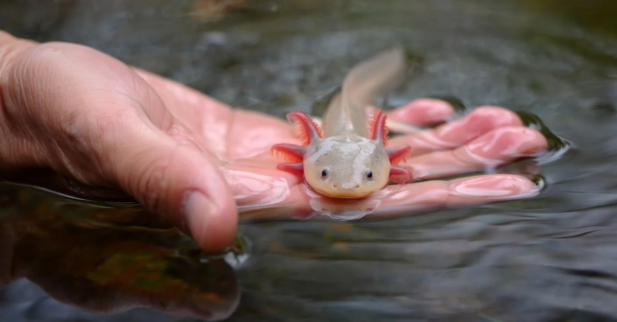 image 8298