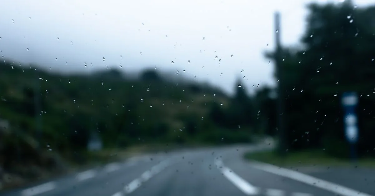 image 8307